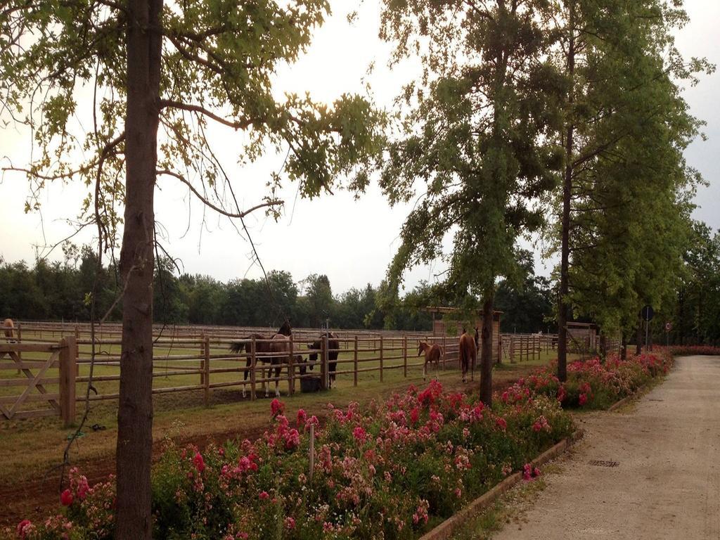Agriturismo Il Boschetto Ornago Εξωτερικό φωτογραφία